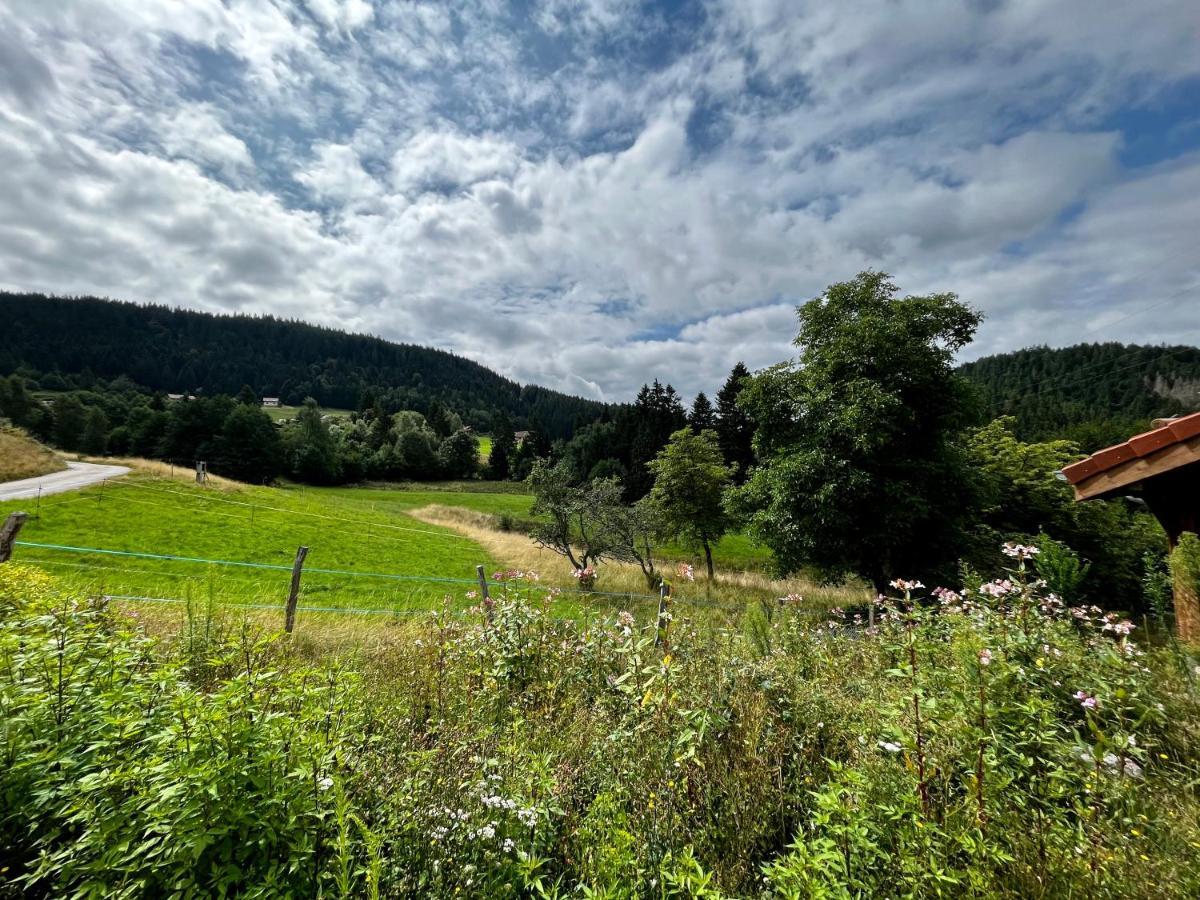 Stone Lake Luxury Lodge Gérardmer Eksteriør bilde