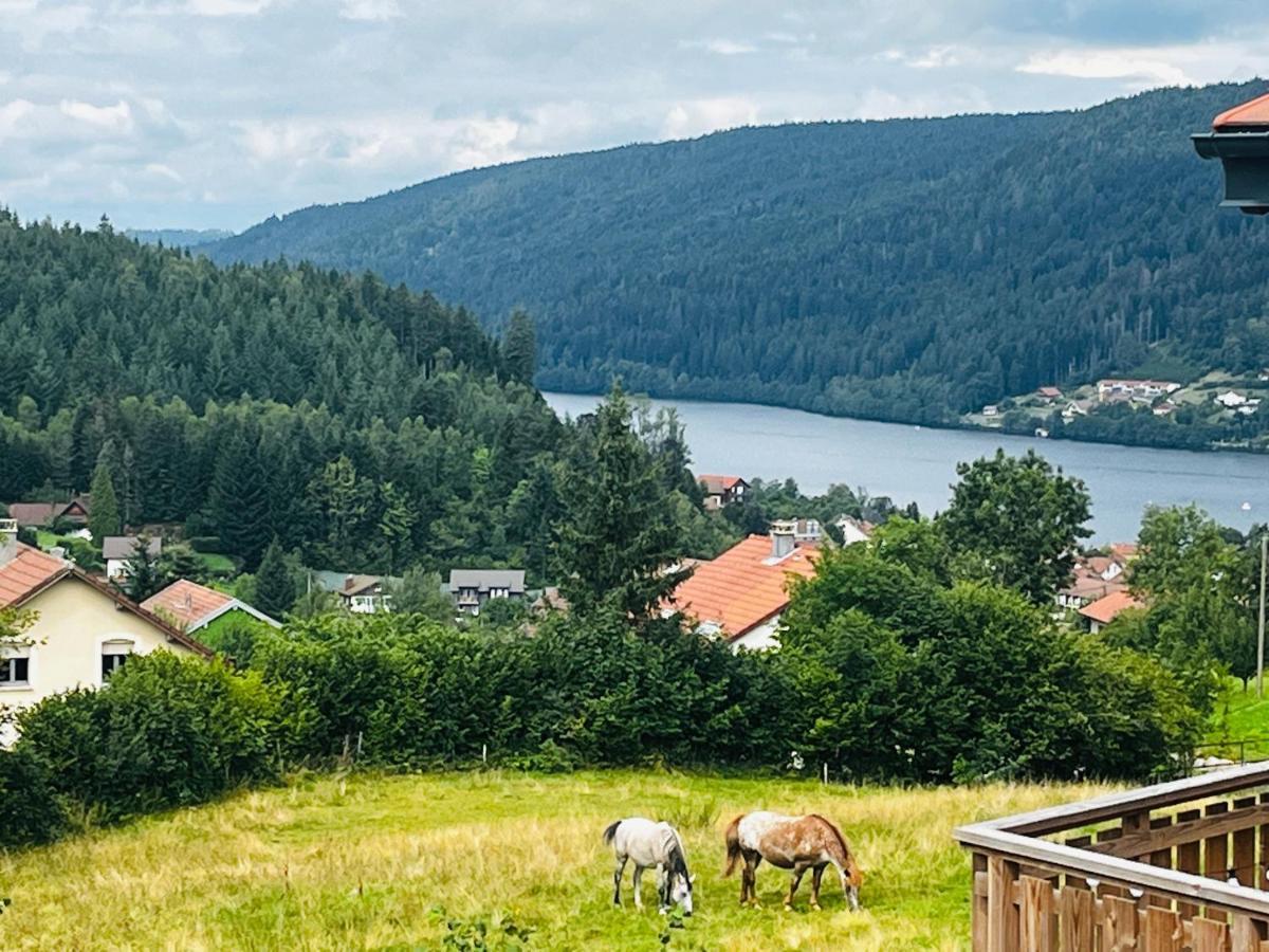 Stone Lake Luxury Lodge Gérardmer Eksteriør bilde